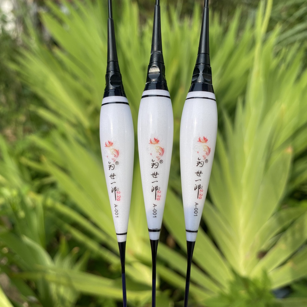 Phao câu đài ngày đêm, Phao điện câu đài Chân dài , Bầu dài , Tăm dài Chuyên Chép , Diếc , Rô