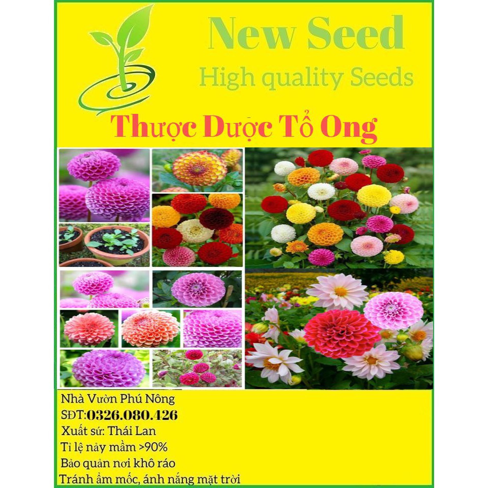 [Gói 150 hạt] Hạt Giống Hoa Thược Dược Tổ Ong F1 Loại Siêu Dễ Trồng, Hoa Nở Đẹp Tặng kèm Hướng Dẫn Trồng