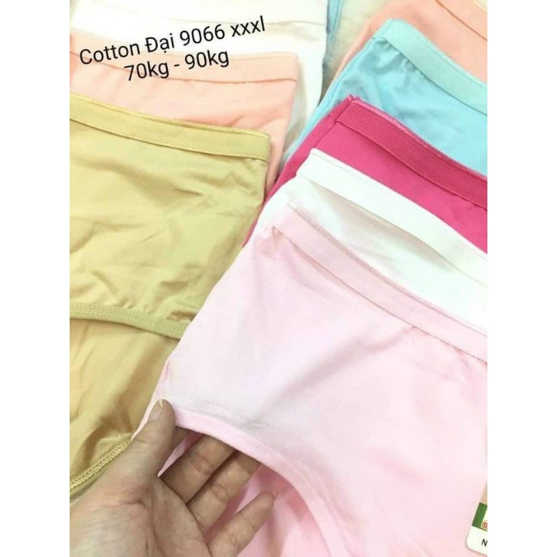 QUẦN THÁI COTON BIG SIZE FROM TO CO GIẢN . | BigBuy360 - bigbuy360.vn