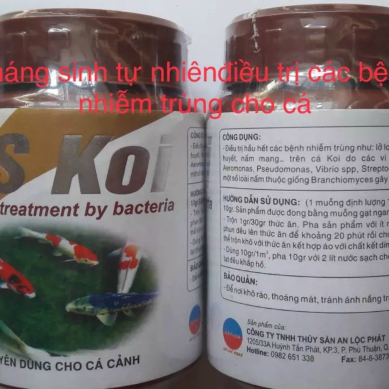 NHIỄM KHUẨN CÁ KOI