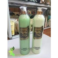 Dầu gội cặp garden 550ml, dầu gội cặp cho nữ