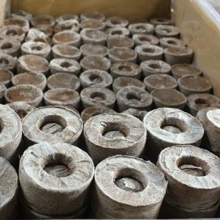 combo 10 viên nén sơ dừa ươm hạt