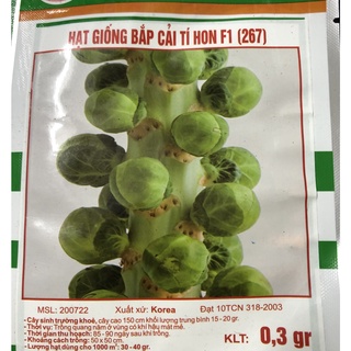 ☘ Hạt giống cải bắp mini F1 🌿