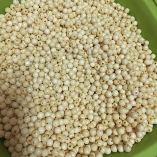 1kg hạt gỗ dâu cành cực đẹp
