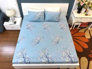 Ga trải giường + đôi vỏ gối (Bán rời)