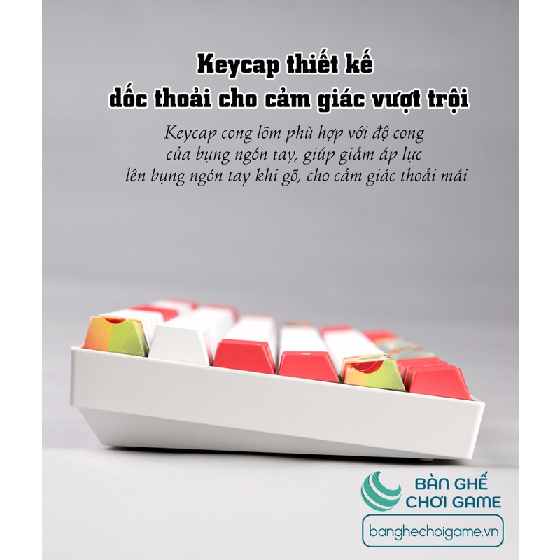 Bàn phím cơ không dây Newmen GM840 Hot Swap Outemu Switch