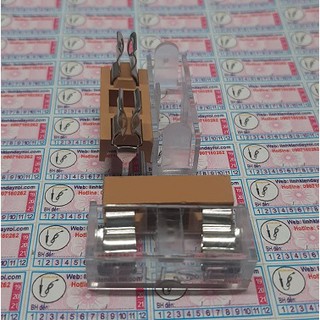 Blx-a hq/fuse đế cầu chì trong suốt có nắp 5x20mm