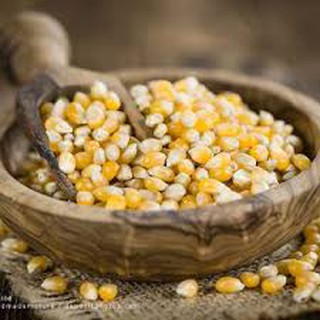 Bắp ngô nổ bỏng (popcorn) hữu cơ Davert 500g
