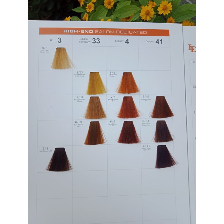 Bảng Màu Thuốc Nhuộm LDMAX