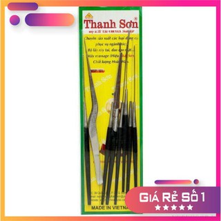 Bộ lấy ráy tai Thanh Sơn 8 Cây