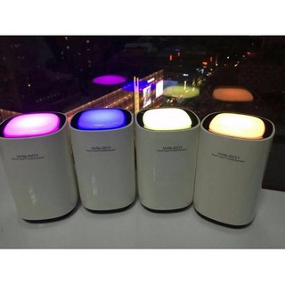 LOA BLUETOOTH WS-S01