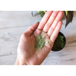 🌿 🌿 Sữa rửa mặt LUSH HERBALISM🌿 🌿(date 2020)