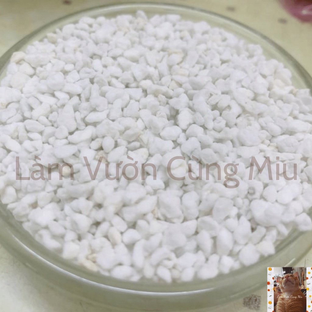 Đá Perlite  3-6mm - Giá thể trồng và rải mặt sen đá