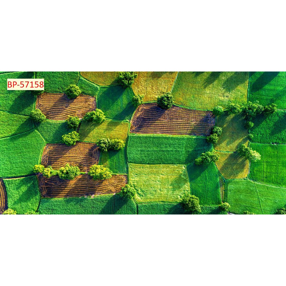 Tranh dán tường PHONG CẢNH VIỆT NAM vùng núi, biển 3D Chất liệu lụa 3D, xé không rách, lau chùi thoải mái