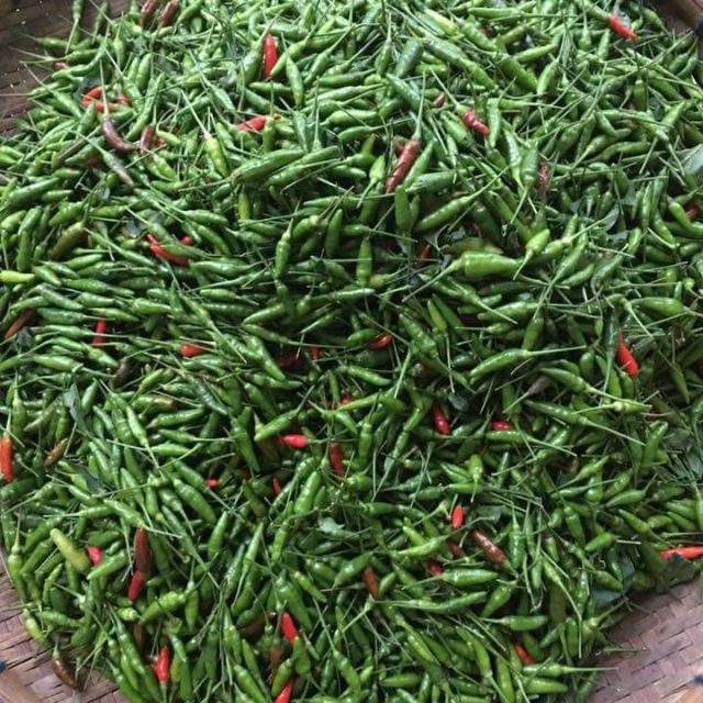 Giấm ớt