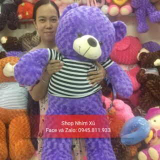 Gấu Teddy 1m2