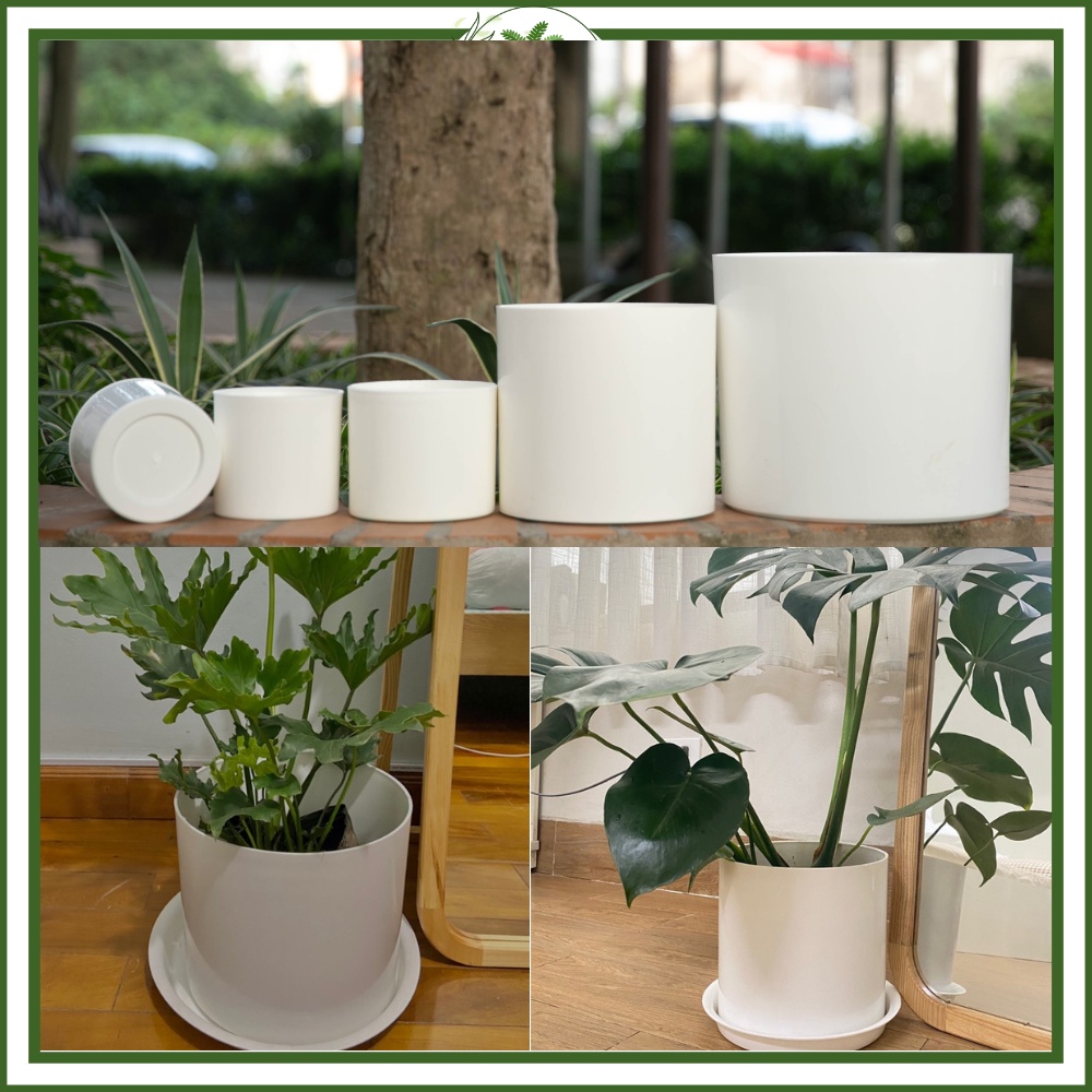 Chậu Nhựa Giả Sứ Hình Trụ, Chậu Nhựa Trồng Hoa, Cây Cảnh Lớn, Sen Đá, Xương Rồng, Để Bàn Trong Nhà ,Sân Vườn - Đủ Size