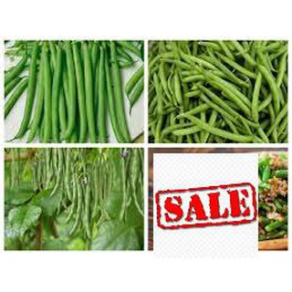 Gói 20 gram hạt giống đậu cove leo hạt tròn SALE