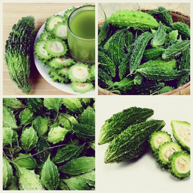 Hạt giống khổ qua - mướp đắng rừng