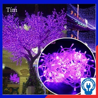 ✨ Dây Đèn Led Chớp (Nháy) Trang Trí Noel & Tết - 5M✨