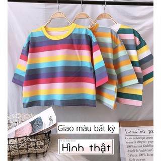 Áo thun croptop Cầu Vồng Rainbow 🌈 JOY BABE, vải dày mịn, sọc ngang xinh xắn, tay lỡ form rộng cute, áo nhóm CRRN 27 -1C