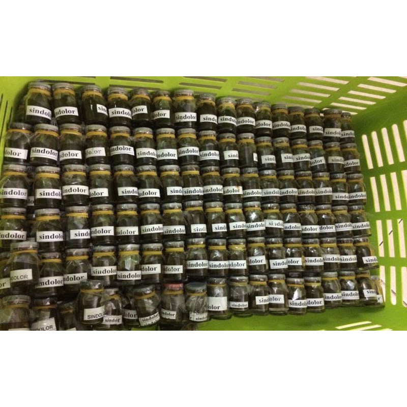 05 lọ bôi răng miệng viêm lợi viêm chân răng SINDOLOR sử dụng trong nha khoa