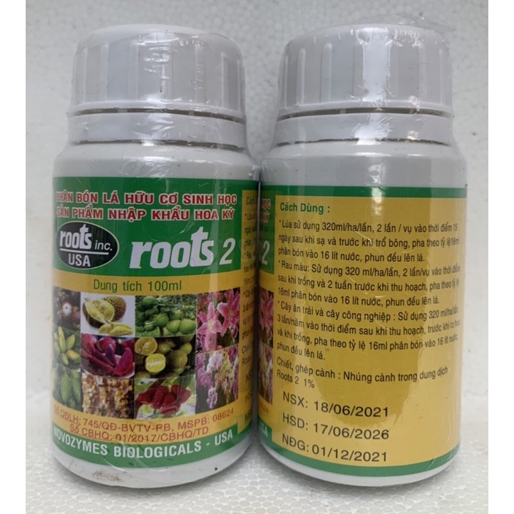 KÍCH RỄ USA ROOTS 2