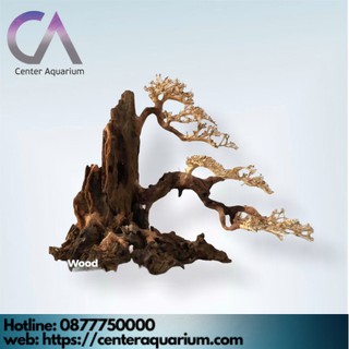 LAYOUT Bonsai Trang Trí Bể Thủy Sinh Bể Cá Cảnh