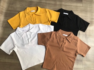 Áo Croptop Nữ Cổ Trụ Polo Form Ôm Chất Bozip Co Giãn Thoáng Mát – Áo Thun Polo Basic CinZy SG