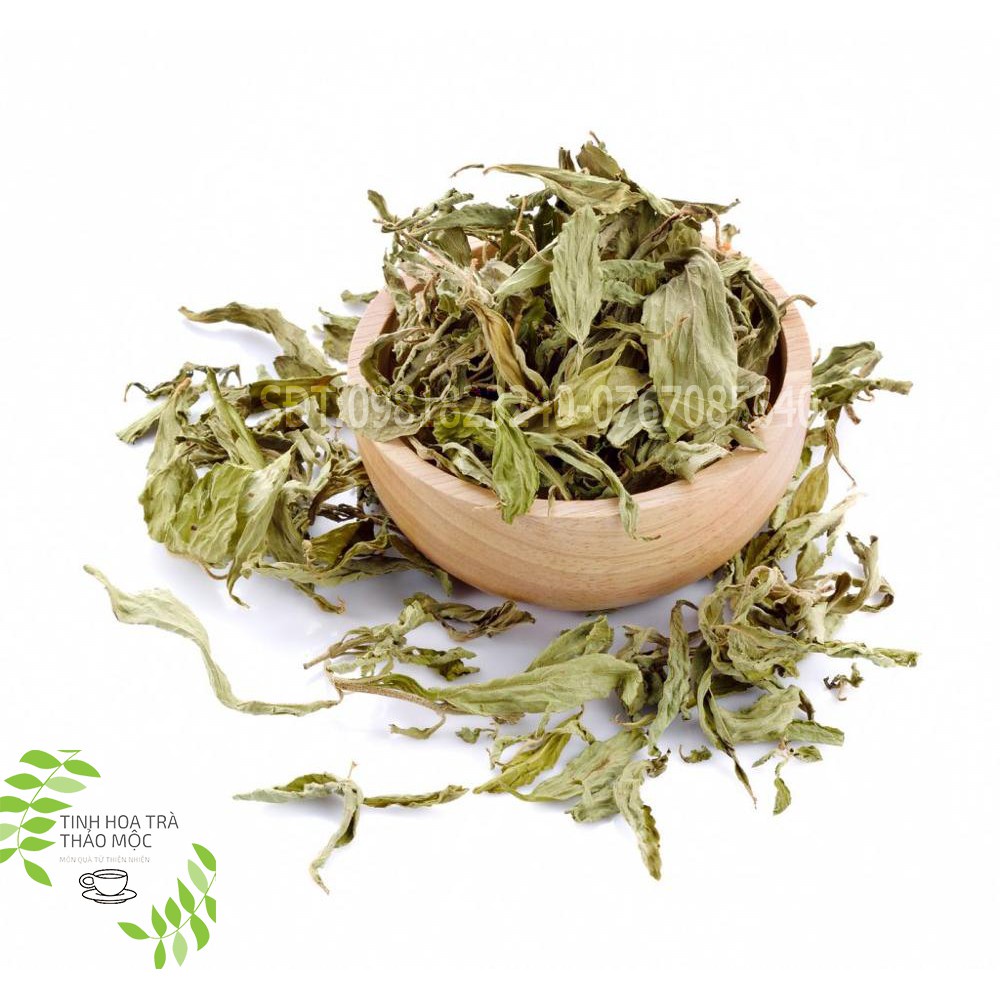 Cỏ ngọt khô 100 gram Tinh Hoa Trà Thảo Mộc Món Qùa Từ Thiên Nhiên