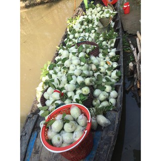Xốp bọc ổi lồng sẵn (500g khoảng 200 cái, kích thước 6 x 14 cm)