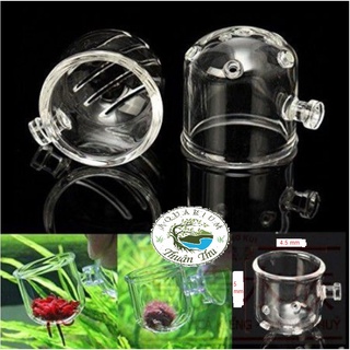 Cốc đựng giun cho cá ăn- cốc đựng trùn chỉ (5*4.5cm) thủy tinh loại dày siêu đẹp