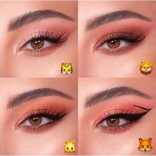 Bảng mắt Colourpop Coast to Coral