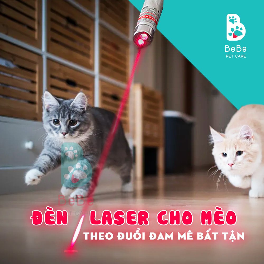Đồ Chơi Đèn Laser Vờn Boss Cưng