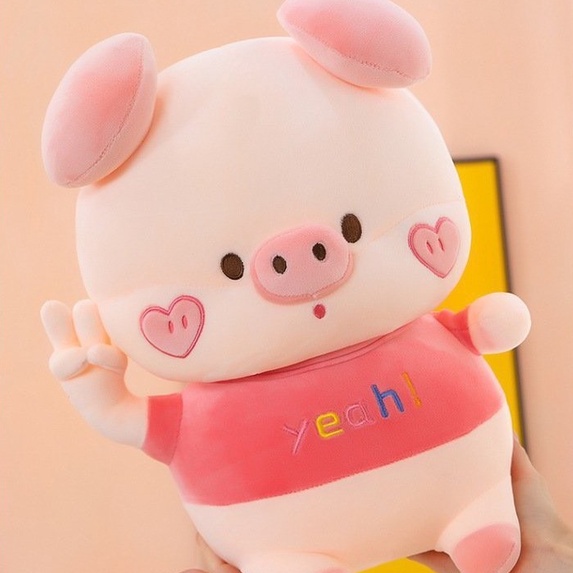 Gấu Bông Heo Má Tim , Thú Nhồi Bông Lợn Cute Hot Trend Chất Miniso Cao Cấp Siêu Mềm Mịn