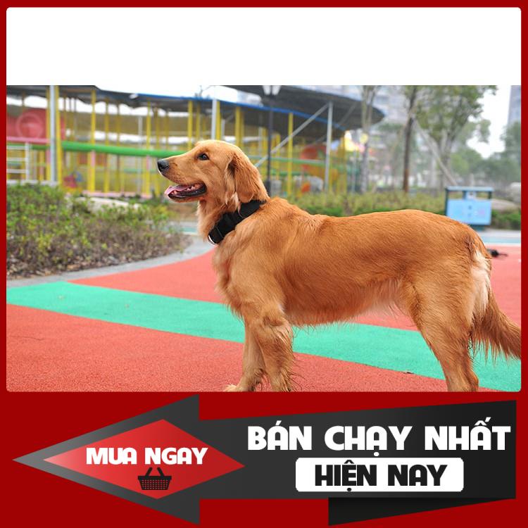 Vòng cổ vải bố dầy cho chó lớn - Vòng cổ 011 0