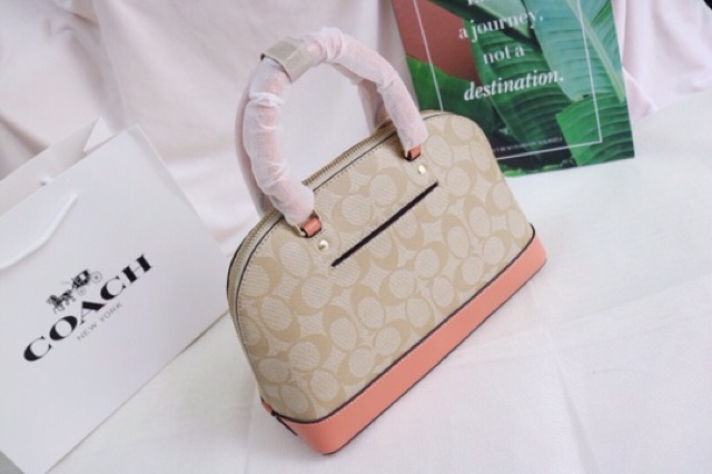 Túi Coach hến