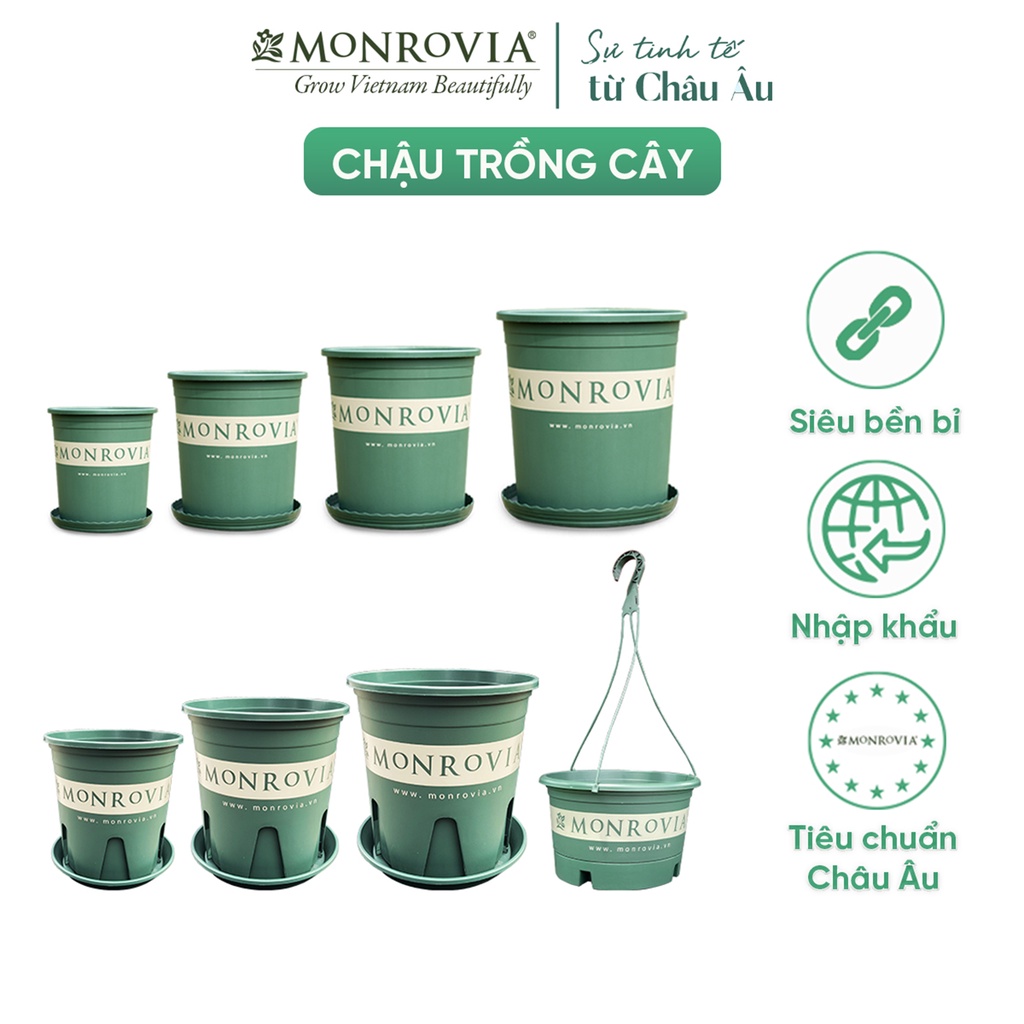 Chậu trồng cây MONROVIA kèm đĩa lót, cây cảnh mini, trồng rau, hoa, để bàn