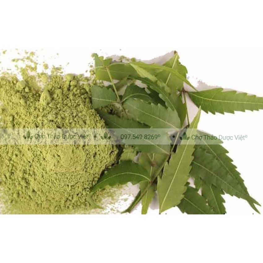 Bột lá neem nguyên chất 100g (Lá nem kháng khuẩn, ngừa mụn, giảm thâm nám) - Chợ Thảo Dược Việt