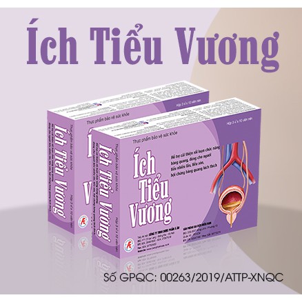 ÍCH TIỂU VƯƠNG hỗ trợ cải thiện rối loạn chức năng bàng quang giảm tiểu đêm, tiểu són, tiểu nhiều lần