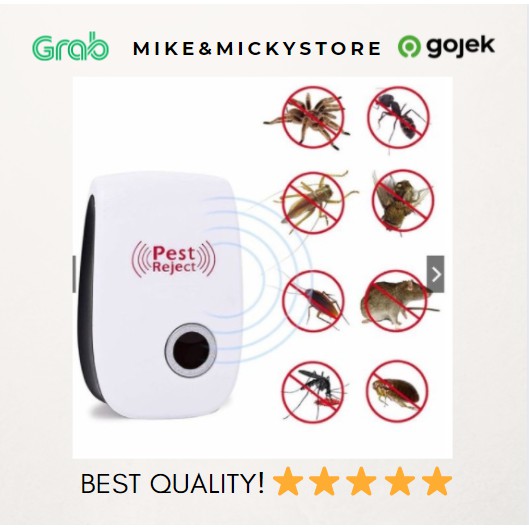 Mô Hình Côn Trùng 100% Mua 1 Get 1 | BigBuy360 - bigbuy360.vn