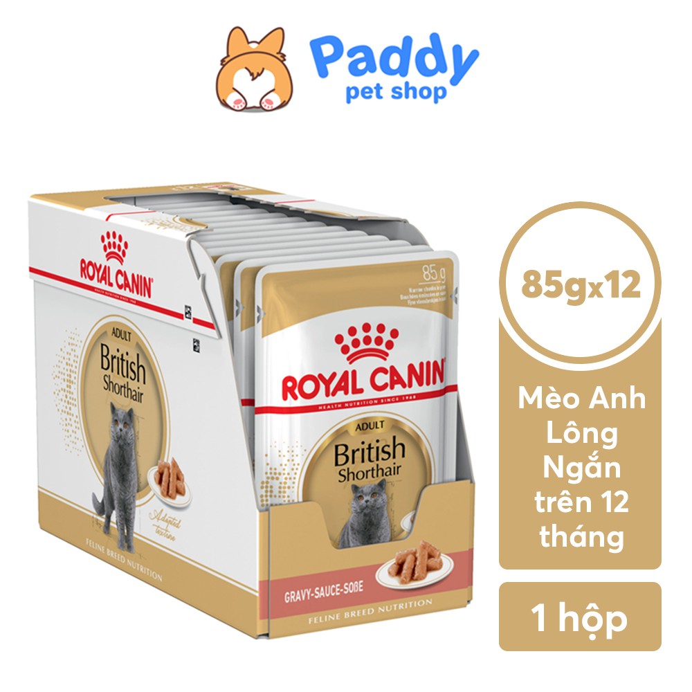 [Mã PET50 giảm 10% - tối đa 50K đơn 250K] [Hộp 12 Gói] Pate Cho Mèo Anh Lông Ngắn Lớn Royal Canin British Shorthair