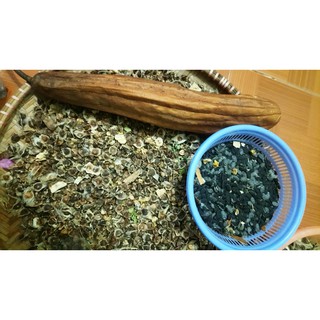 Hạt giống Mướp Hương