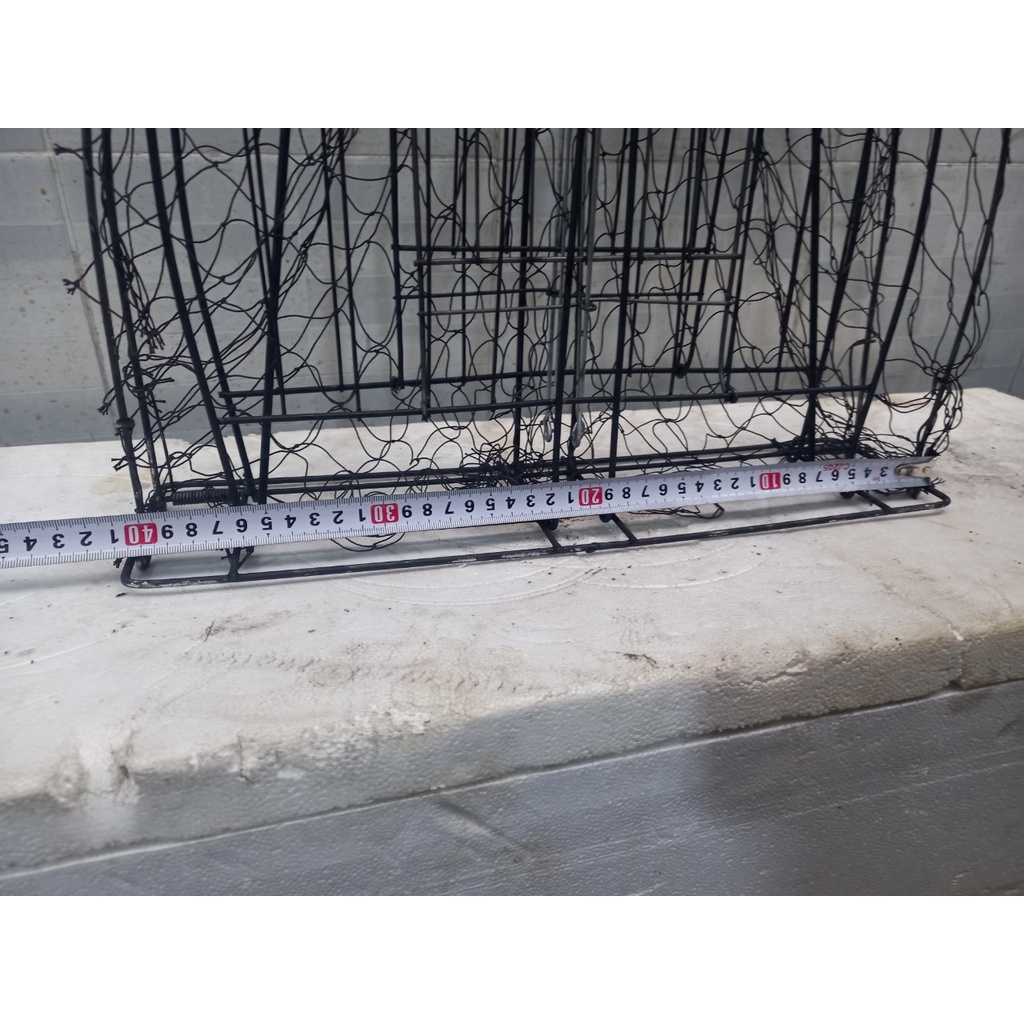 Lụp sơn đen bẫy chim bìm bịp, chim quốc
