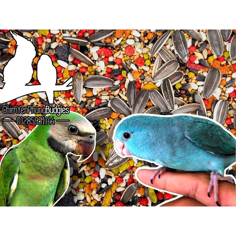 1kg hạt mix + Zupreem cho Vẹt size trung (Lovebird, Cockatiel, Parrotlet...)