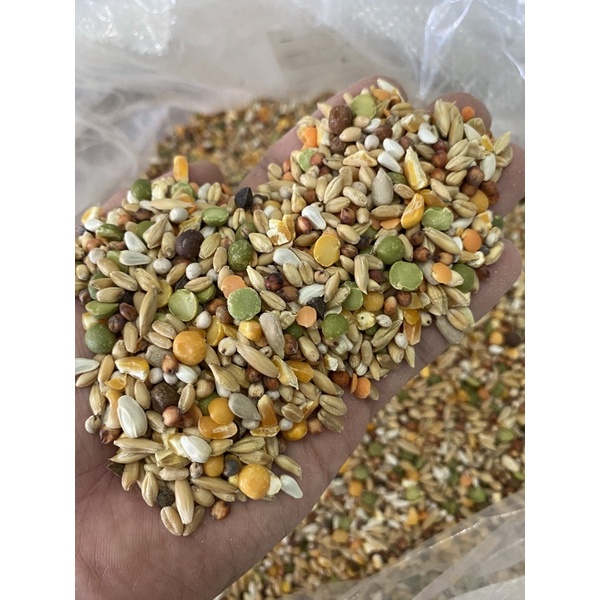 Ngũ Cốc Chiến Kê dành cho gà đá (1kg) - Pet Food Store.