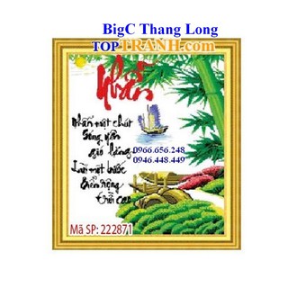Tranh thêu chữ thập chữ nhẫn 222871 ( chưa thêu)