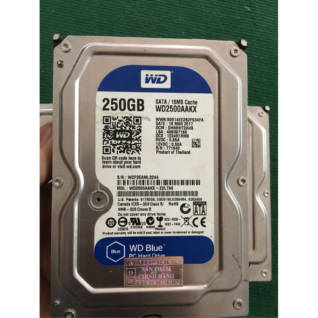 HDD 250G SEAGATE & WESTERN HÀNG CÔNG TY BÓC MÁY ( BH 01 tháng, 01 ĐỔI 01) | BigBuy360 - bigbuy360.vn