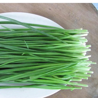 Hạt Giống Hẹ Cao Sản (2g)