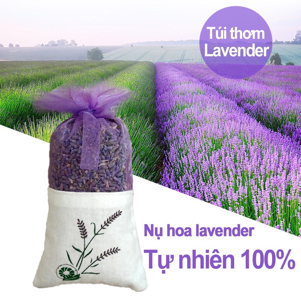 Túi thơm nụ Hoa Oải Hương Lavender thơm dịu để tủ quần áo làm thơm phòng